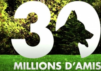 30 millions d'amis